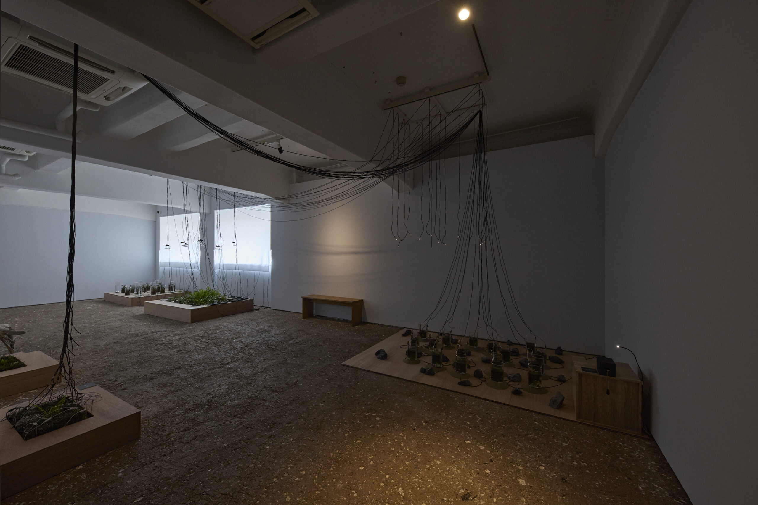 「OPEN SITE 9『Energeia Cycle 分解と循環のエネルゲイア』滝戸ドリタDoritaTAKIDO」(トーキョーアーツアンドスペース本郷、2025)撮影:髙橋健治 画像提供:Tokyo Arts and Space