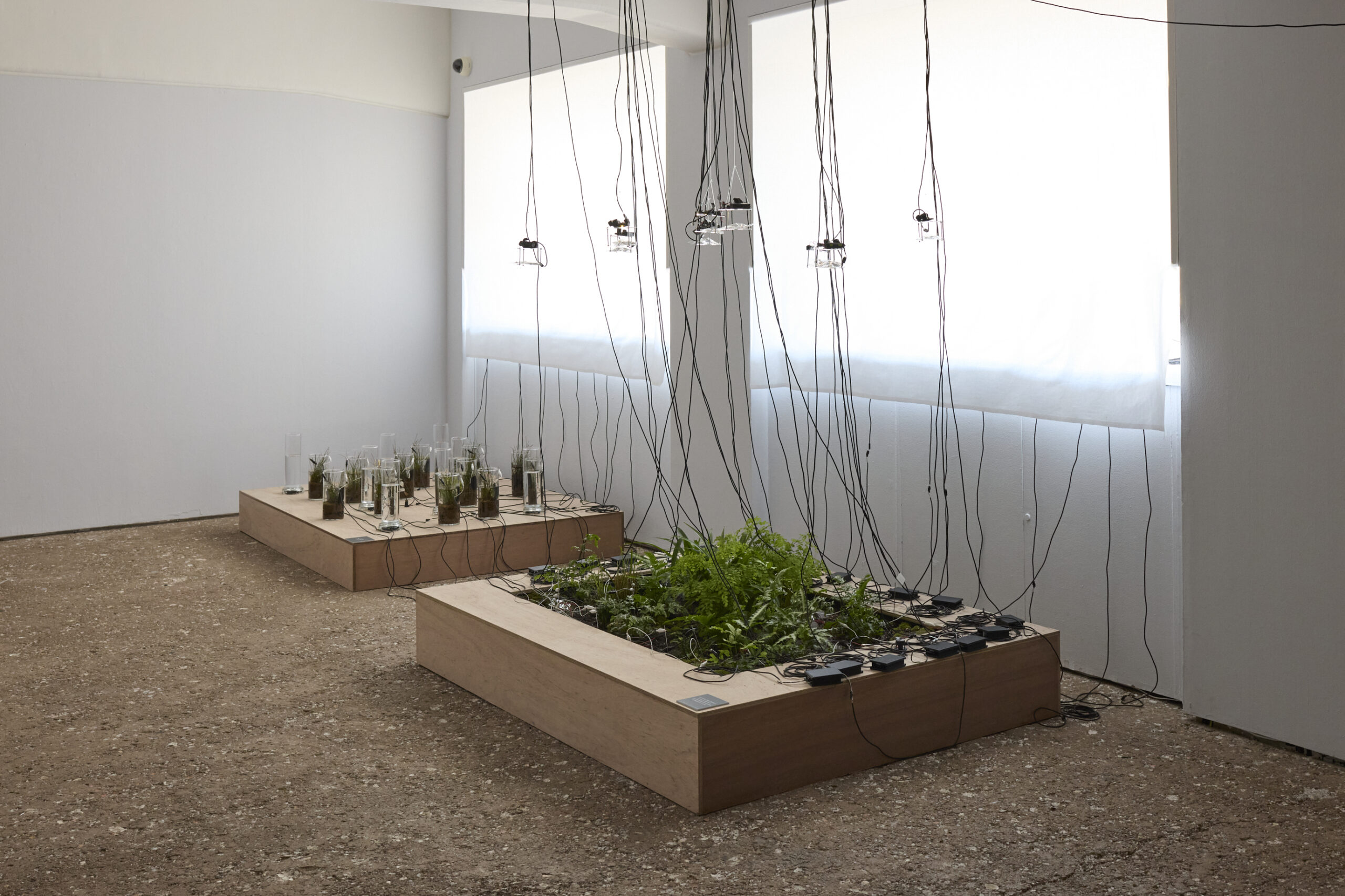 「OPEN SITE 9『Energeia Cycle 分解と循環のエネルゲイア』滝戸ドリタDoritaTAKIDO」(トーキョーアーツアンドスペース本郷、2025)撮影:髙橋健治 画像提供:Tokyo Arts and Space