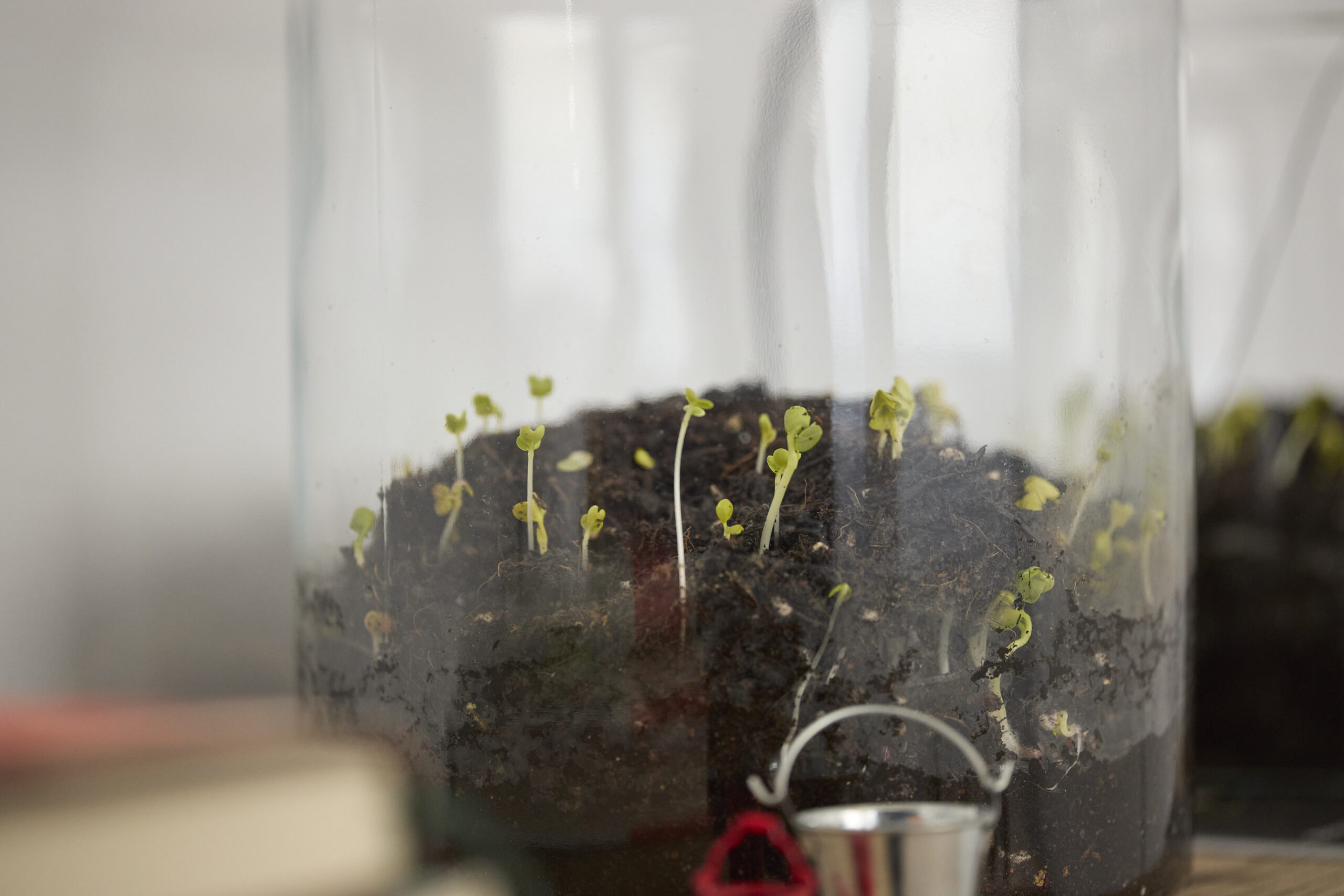 「OPEN SITE 9『Energeia Cycle 分解と循環のエネルゲイア』滝戸ドリタDoritaTAKIDO」(トーキョーアーツアンドスペース本郷、2025)撮影:髙橋健治 画像提供:Tokyo Arts and Space