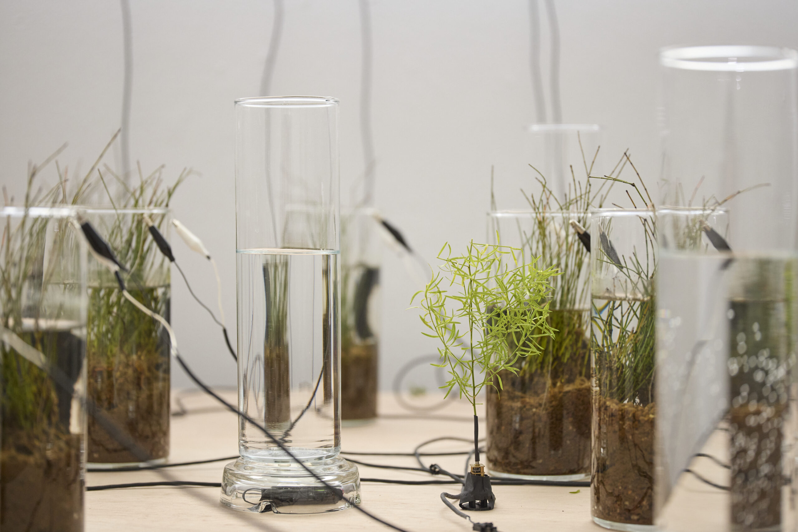 「OPEN SITE 9『Energeia Cycle 分解と循環のエネルゲイア』滝戸ドリタDoritaTAKIDO」(トーキョーアーツアンドスペース本郷、2025)撮影:髙橋健治 画像提供:Tokyo Arts and Space