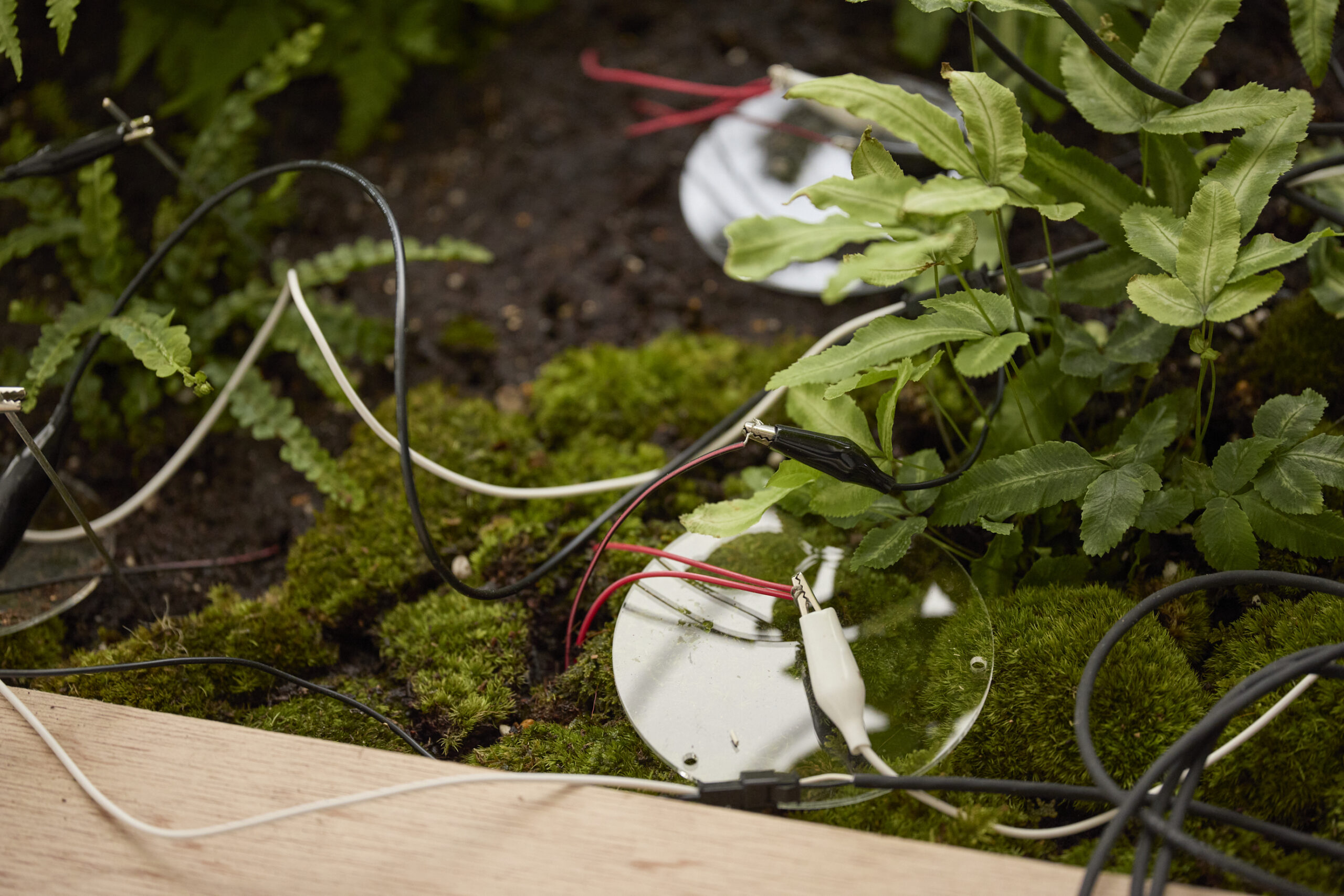 「OPEN SITE 9『Energeia Cycle 分解と循環のエネルゲイア』滝戸ドリタDoritaTAKIDO」(トーキョーアーツアンドスペース本郷、2025)撮影:髙橋健治 画像提供:Tokyo Arts and Space