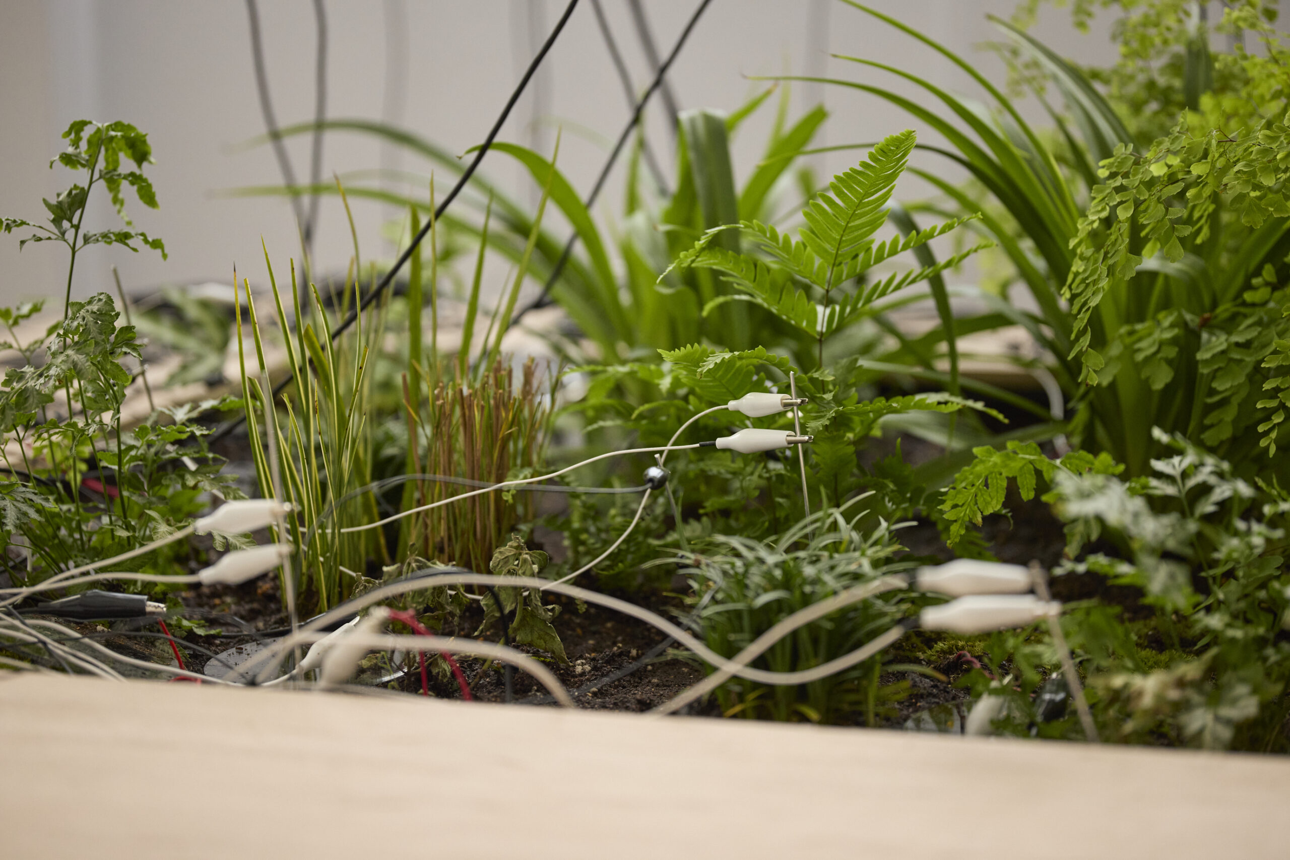 「OPEN SITE 9『Energeia Cycle 分解と循環のエネルゲイア』滝戸ドリタDoritaTAKIDO」(トーキョーアーツアンドスペース本郷、2025)撮影:髙橋健治 画像提供:Tokyo Arts and Space