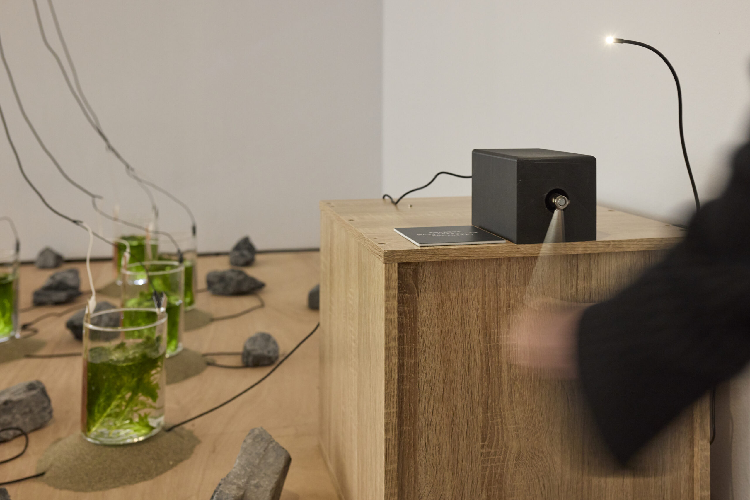 「OPEN SITE 9『Energeia Cycle 分解と循環のエネルゲイア』滝戸ドリタDoritaTAKIDO」(トーキョーアーツアンドスペース本郷、2025)撮影:髙橋健治 画像提供:Tokyo Arts and Space