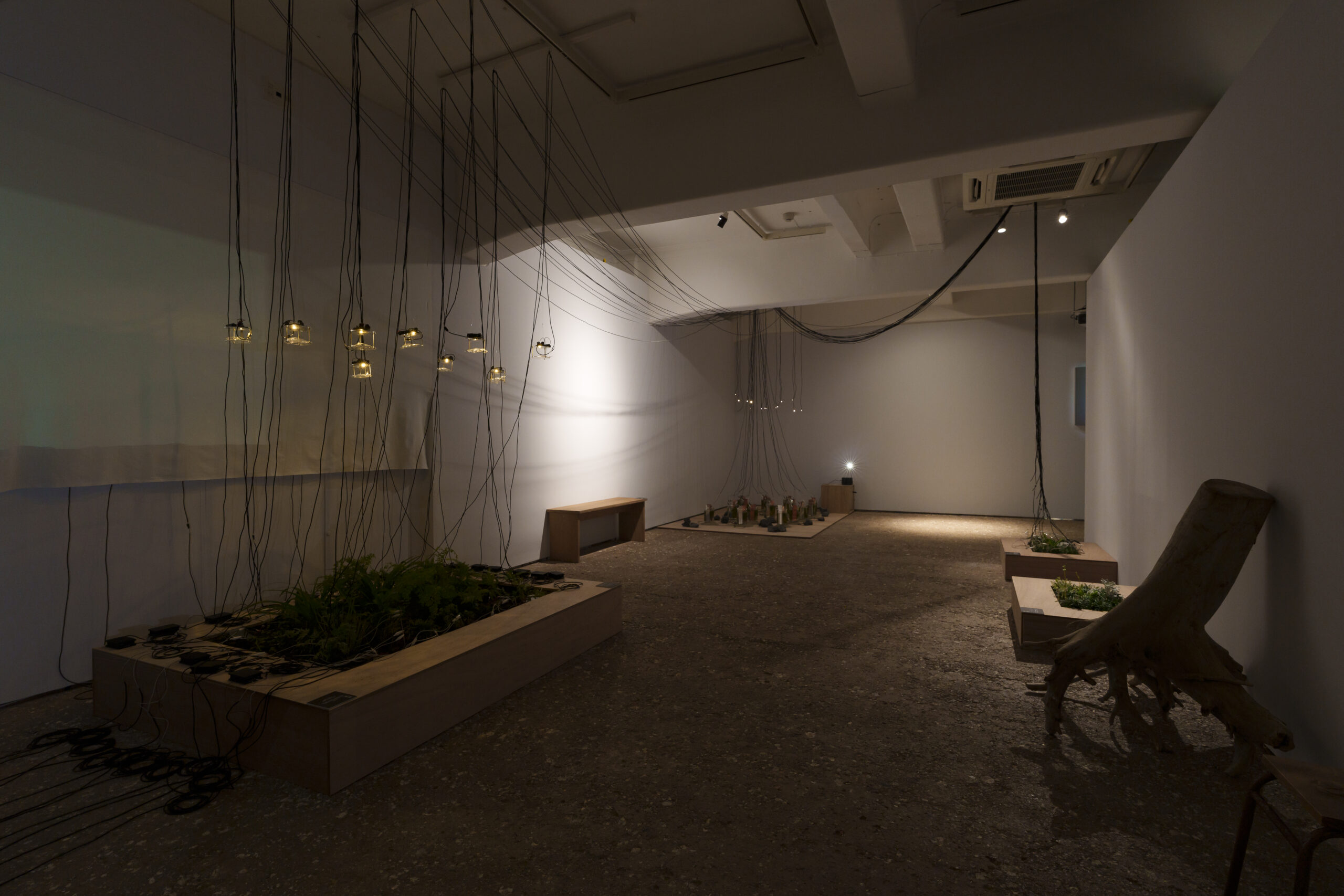 「OPEN SITE 9『Energeia Cycle 分解と循環のエネルゲイア』滝戸ドリタDoritaTAKIDO」(トーキョーアーツアンドスペース本郷、2025)撮影:冨田 了平 Ryohei Tomita