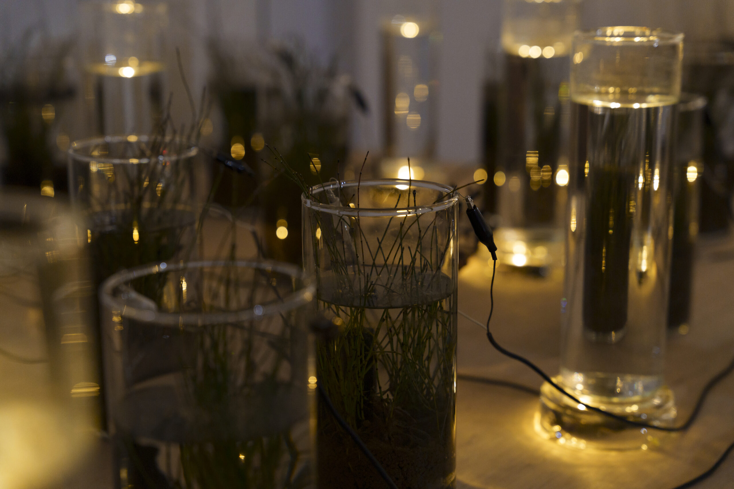 「OPEN SITE 9『Energeia Cycle 分解と循環のエネルゲイア』滝戸ドリタDoritaTAKIDO」(トーキョーアーツアンドスペース本郷、2025)撮影:冨田 了平 Ryohei Tomita