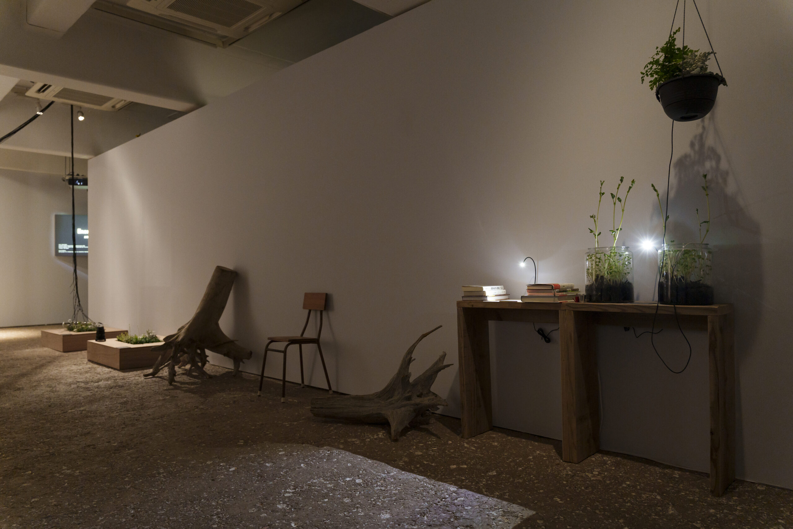 「OPEN SITE 9『Energeia Cycle 分解と循環のエネルゲイア』滝戸ドリタDoritaTAKIDO」(トーキョーアーツアンドスペース本郷、2025)撮影:冨田 了平 Ryohei Tomita